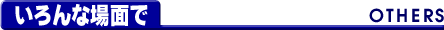 ȏʂ